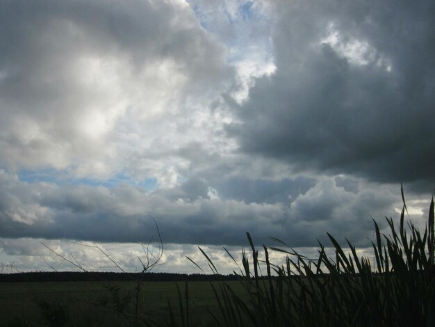 Foto schilderachtig uitzicht op het veld tegen een bewolkte hemel