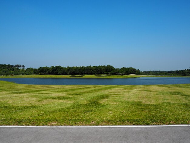 Foto schilderachtig uitzicht op het veld tegen een heldere blauwe hemel