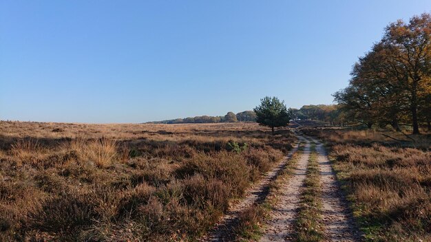 Foto schilderachtig uitzicht op het veld tegen een heldere blauwe hemel