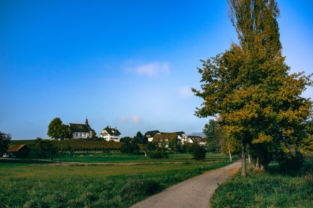 Schilderachtig uitzicht op het veld tegen een heldere blauwe hemel