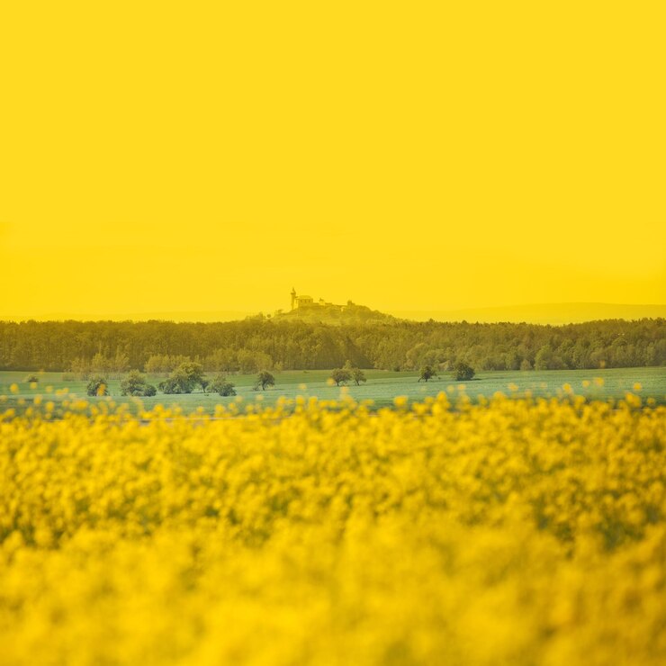 Foto schilderachtig uitzicht op het veld tegen een heldere lucht