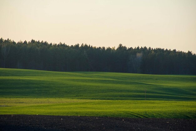 Foto schilderachtig uitzicht op het veld tegen een heldere lucht