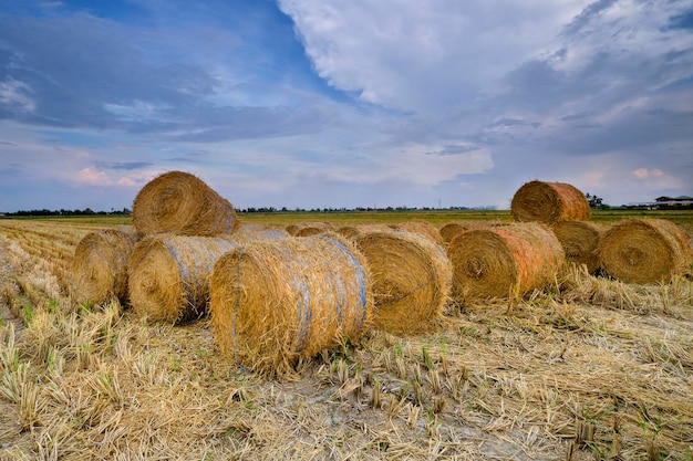 Schilderachtig uitzicht op hooibalen op het veld tegen de lucht