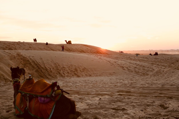 Foto schilderachtig uitzicht op mensen op zandduinen tegen een heldere lucht