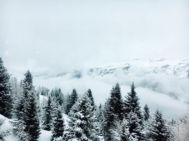 Schilderachtig uitzicht op met sneeuw bedekte bergen tegen de lucht