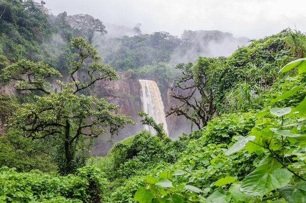 Schilderachtig uitzicht op regenwoud en bergen tegen de lucht bij de Ekom-waterval in Kameroen, Afrika