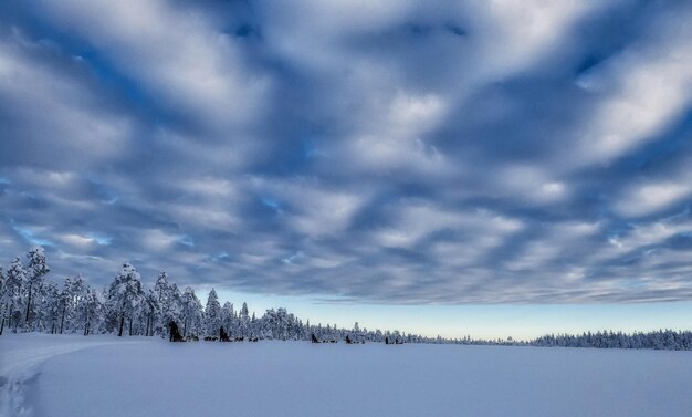 Foto schilderachtig uitzicht op sneeuwbedekt land tegen de lucht