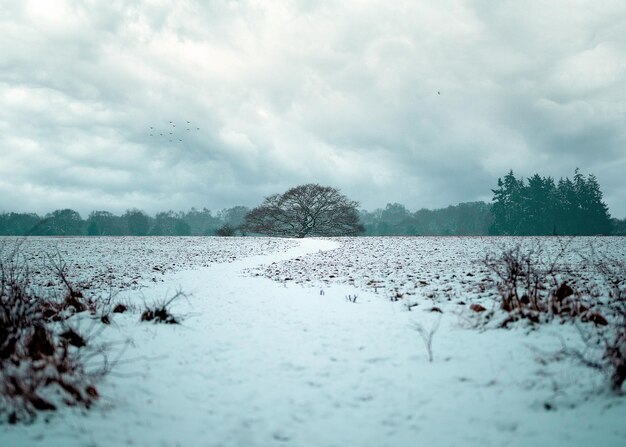 Foto schilderachtig uitzicht op sneeuwbedekt land tegen de lucht