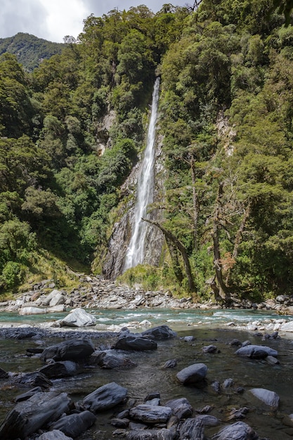 Schilderachtig uitzicht op Thunder Creek Falls in Nieuw-Zeeland