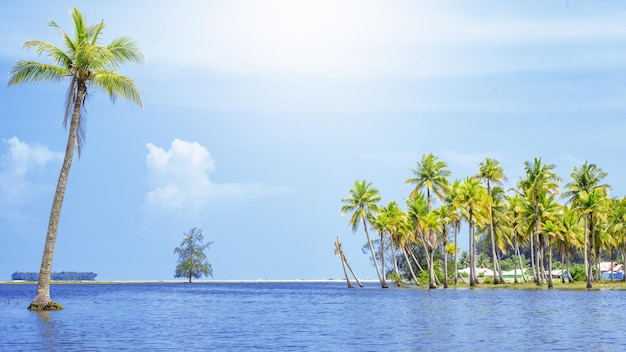 Schilderachtig uitzicht op tropisch eiland met kokospalmen en mooie dag