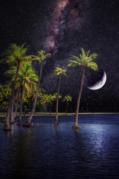Schilderachtig uitzicht op tropisch eiland met kokospalmen en prachtige nachtelijke hemel