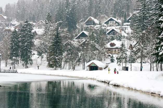 Schilderachtig uitzicht op winterlandschap met besneeuwde bomen en bergrivier in Alpen, Slovenië. Schoonheid