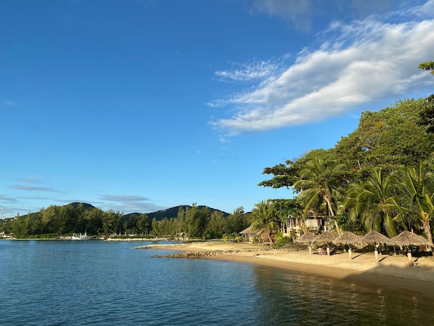 Schilderachtig zandstrand in Thailand op het eiland Koh Phangan met palmbomen en een hemelbeeld