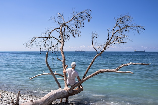 Schilderachtig zomerlandschap op een stenen strand