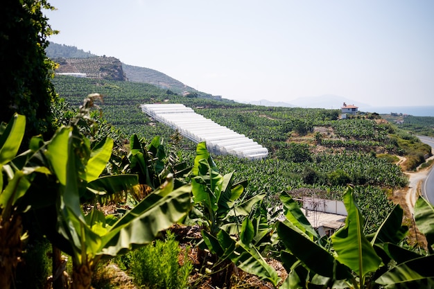 Schilderachtige bergweg langs de kust in Turkije, Alanya