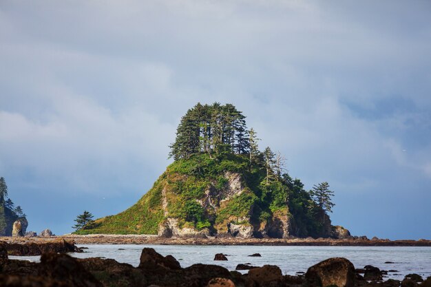 Schilderachtige en rigoureuze pacifische kust in het olympic national park