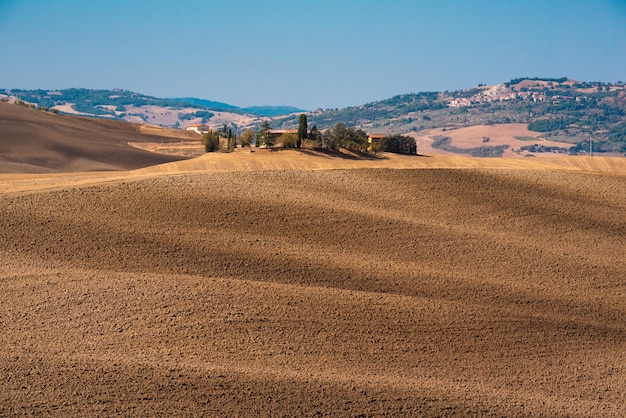 Schilderachtige gele landbouwvelden met cipressen in Toscane, Italië