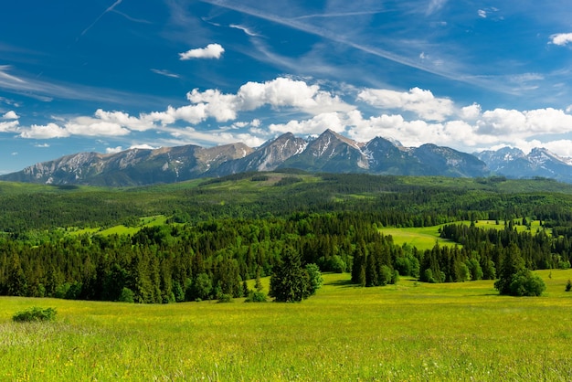 Schilderachtige hoge Tatra-bergen en groene weiden in de Lapszanka-vallei in het Poolse Podhale-landschap in de zomer