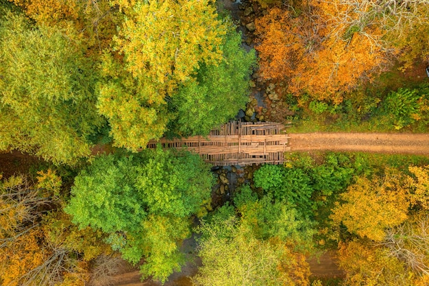 Schilderachtige luchtfoto van een kronkelend wandelpad in een herfstbos. Trekkingspad in het bos van bovenaf, drone-weergave.