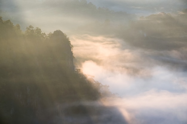 Schilderachtige mistige vallei bij zonsopgang, baan jabo, mae hong son, thailand