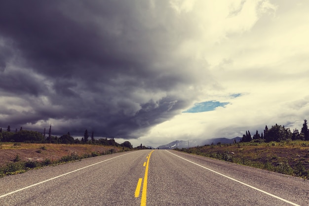 Schilderachtige snelweg in Alaska, VS