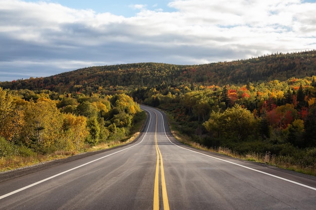 Schilderachtige snelweg tijdens een levendige zonnige dag in het herfstseizoen