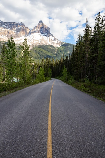 Schilderachtige weg in de Canadese Rockies tijdens een levendige zonnige zomerdag