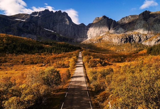 Schilderachtige weg op de Lofoten-eilanden in Noorwegen op een zonnige herfstdag