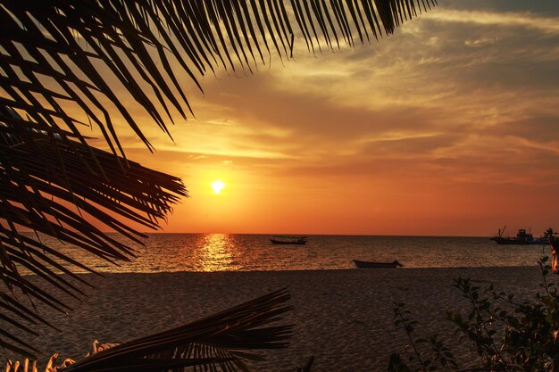 Schilderachtige zonsondergang op het tropische strand. Eiland in Cambodja.