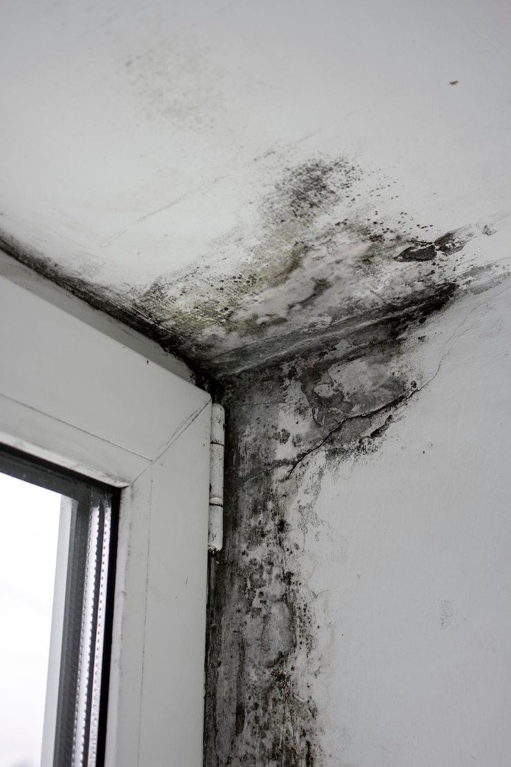 Foto schimmel bij de ramen schimmel op de muren van het huis
