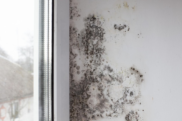 Foto schimmel op de muur bij het raam zwarte schimmel bedekt de witte muur en het raam