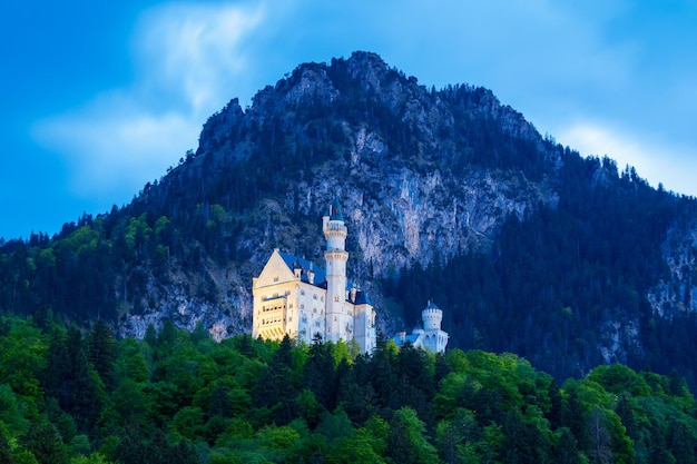 Schloss Neuschwanstein Castle 또는 New Swanstone Castle은 독일 바이에른의 Fussen 근처 Hohenschwangau 마을에 있는 로마네스크 양식의 부흥 궁전입니다. 노이슈반슈타인 성은 루트비히 2세에 의해 건설되었습니다.