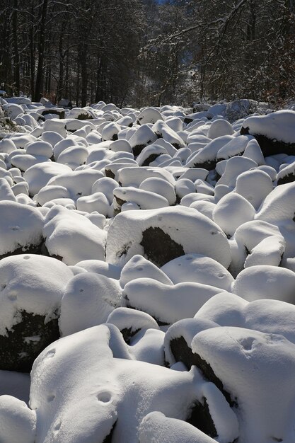 Photo schnee und felsen