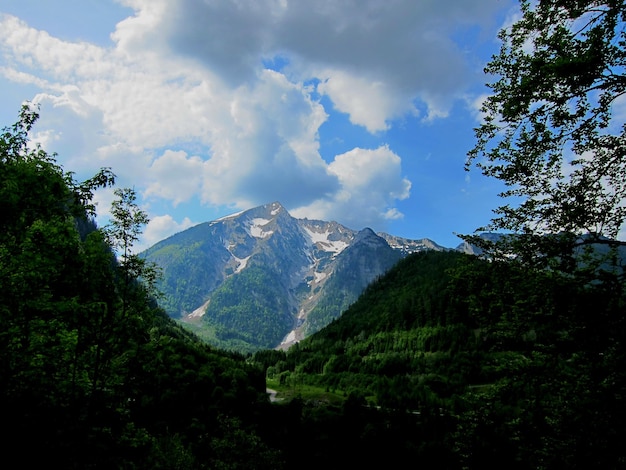 Schoener berg mit schnee zwischen gruenen bergen im sommer