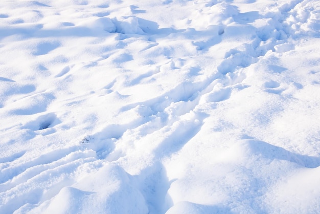 Schoensporen op witte sneeuw close-up