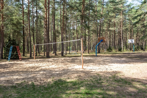 Schommel en rekstok op speelplaats in dennenbos