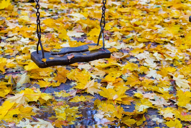 Schommel in herfstbladeren