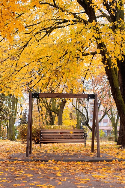 Schommelbank in een stadspark in de herfst.