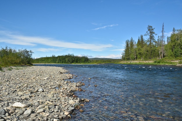 Schone prachtige rivier in de polaire Oeral