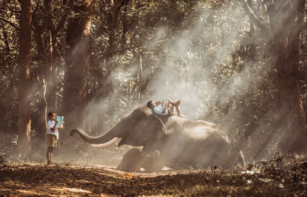 School boy studying in the jungle with his friend elephant