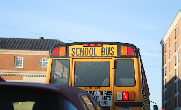 A school bus with the words school bus on the back