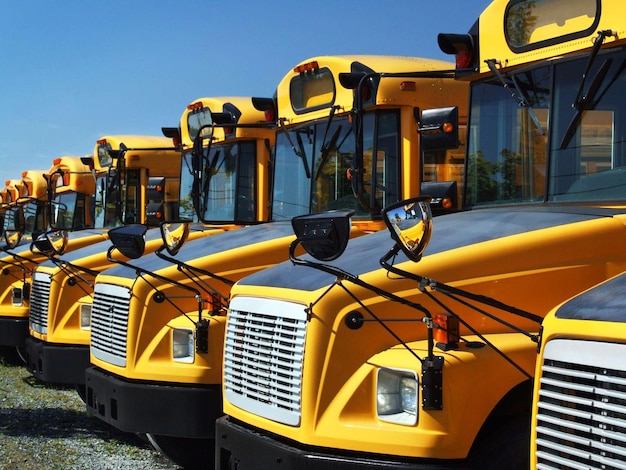 Photo school buses