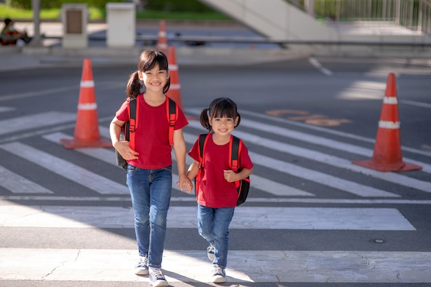 School child wearing a face mask during coronavirus and flu outbreak. sibling girl going back to school after covid-19 quarantine and lockdown. Kids in masks for coronavirus prevention.Soft Focus