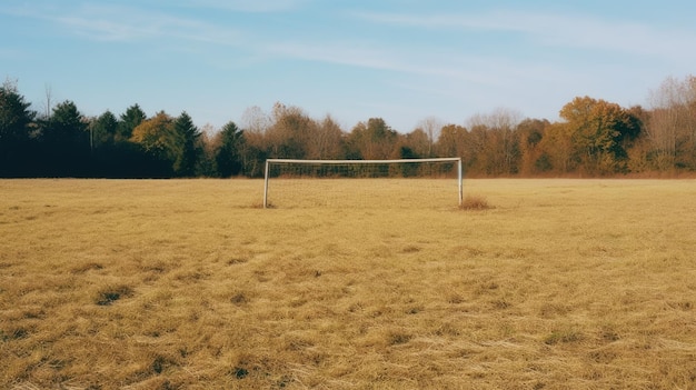 School field background photo