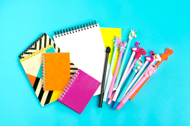 School and office supplies Concept back to school Flat lay Top view