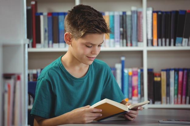 Schoolboy reading book in library