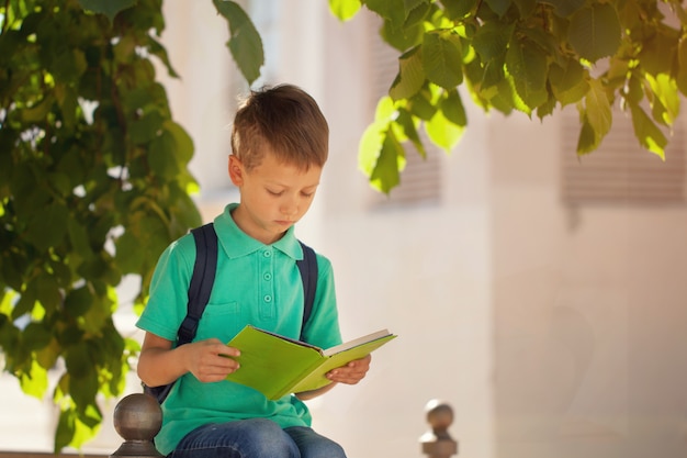 Schoolboy sitting under a tree and read book on a sunny summer day.