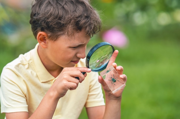 Schoolboy studying beetle through a magnifying glass