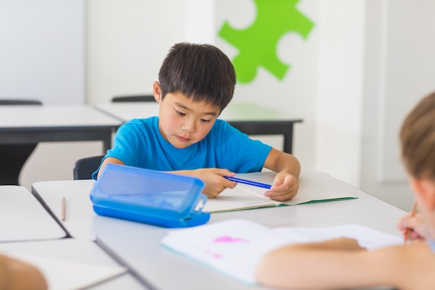 Schoolboy studying in classroom