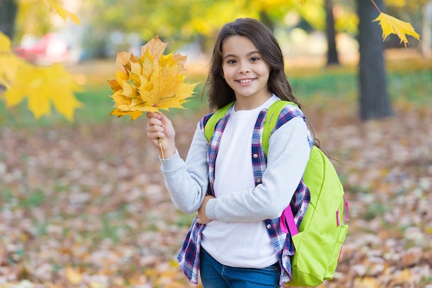 Schooltijd. herfst esdoorn bladeren in het park. seizoensgebonden weer. jeugd geluk. schoonheid en natuur. gelukkig kind draagt een casual stijl. tienermeisje draagt rugzak op weg naar school. kind wandeling in herfst bos.